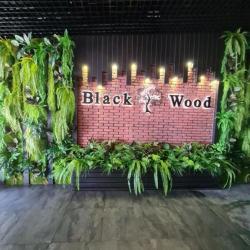 фото 3 Black Wood (Блэк вуд)