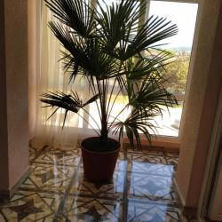 Фото Отель SanZazila (СанЗазила)