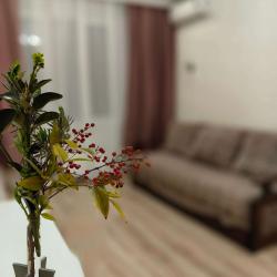 Фото Апартаменты на улице Лермонтова 116 корпус 1