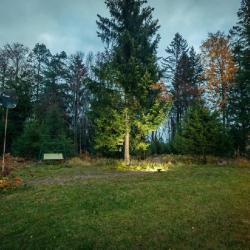Фото Отель Green Forest (Грин Форест) у Игоры