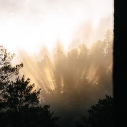 Фото Отель Сказка Алтая