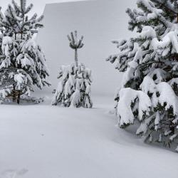 Коттедж стандарт с 1 двуспальной кроватью