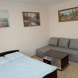 Фото Апартаменты на улице Очеретина 14