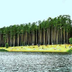 комната Оксфорд