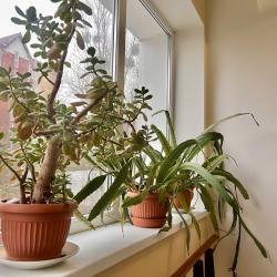 Фото Отель Чайка