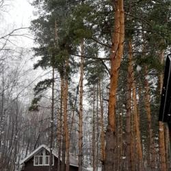 Фото Отель Алмаз