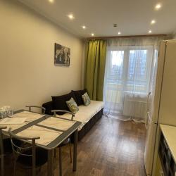 1-комнатные апартаменты стандарт Карла Либкнехта 114