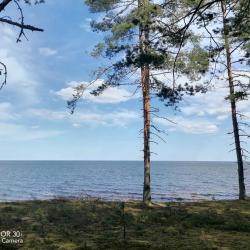 Фото Отель Гостевой дом Брейтово