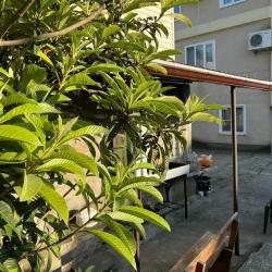 Фото Отель Гостевой дом Катюша