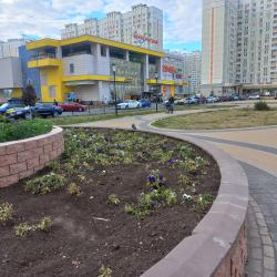 1-комнатные апартаменты улучшенные
