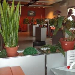 Фото Отель Нур