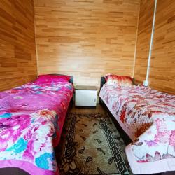 Номер стандарт семейный с 2 односпальными кроватями