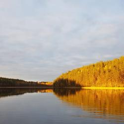 Фото Отель Берлога