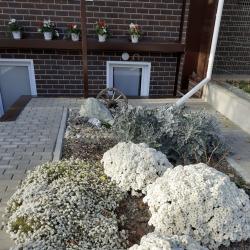 Фото Отель Дом с лилиями