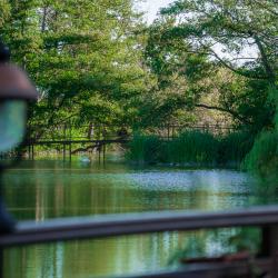 Фото Парк-отель Озеро Дивное