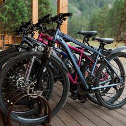 Фото Отель Алтай Сэнс