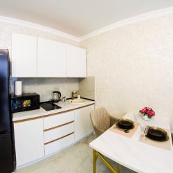 1-комнатные апартаменты студия ул. Маршала Жукова, д. 156, кв. 812