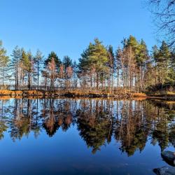 Фото Отель Медвежья лапа