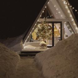 Дом у рябины