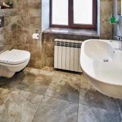 Комната люкс с 1 двуспальной кроватью (с завтраком)