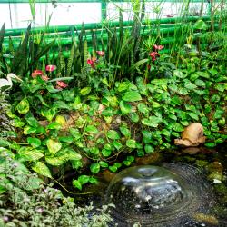 Фото Отель Вотчина