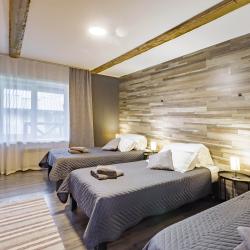 Фото Отель Снежные Гуси