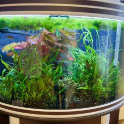 4-местные 1-комнатные апартаменты люкс