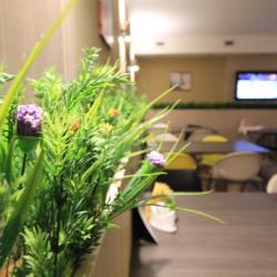 Фото Отель Вилла Диана