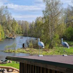 Фото Отель Уютные ёлы