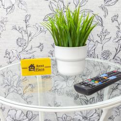 Фото Отель RentPlaza (РентПлаза) на Московском шоссе
