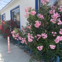 Фото Отель Гостевой дом Слава