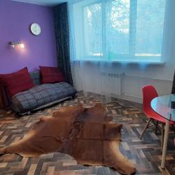 Фото Апартаменты Добрые сутки на Ленина 54 корпус 2