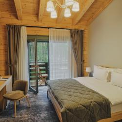 Номер Классик с двуспальной кроватью c видом на гору и балконом