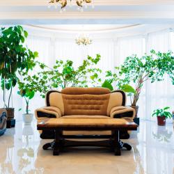 Эдельвейс — a4fc4962bc961cb89c4f460fc6adcf1c