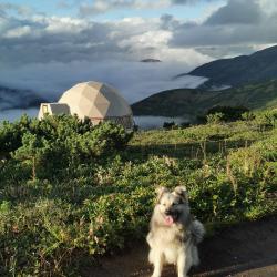 Фото Отель Vilyuchik Camp (Вилючик Кэмп)