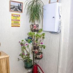 Фото Отель Зенит