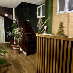 Фото Отель GreenWall (Гринволл)