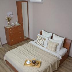 1-комнатные апартаменты стандарт ул. Нижняя логовая, д.11