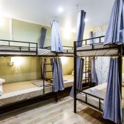Фото Nice hostel Crocus (Найс Хостел Крокус)