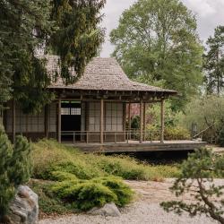 Фото Отель Welna Eco SPA resort (Вэлна Эко СПА Резорт)