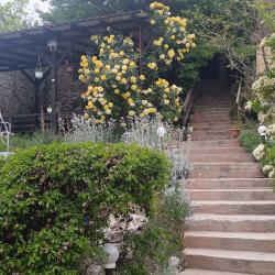 Фото Отель Карамель