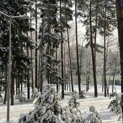 Фото Отель Green Park Conference & Spa Hotel (Грин Парк)