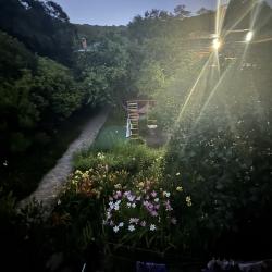 Номер стандарт комфорт с 1 двуспальной кроватью