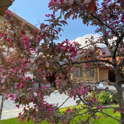 Фото Отель Сталевар