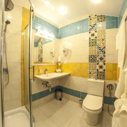 1-местный номер комфорт (мансарда)