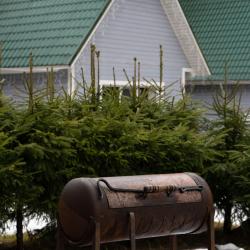 Фото Отель Иванова дача