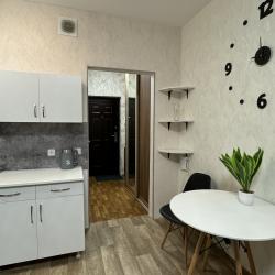 Фото Апартаменты на улице Карамзина 16