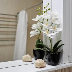 1-комнатные апартаменты Б503