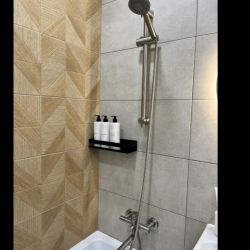 1-комнатные апартаменты люкс (мансарда)