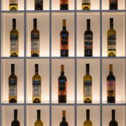 Виктория Плаза — a59cbf9df9714cd30e117ec976aec42d